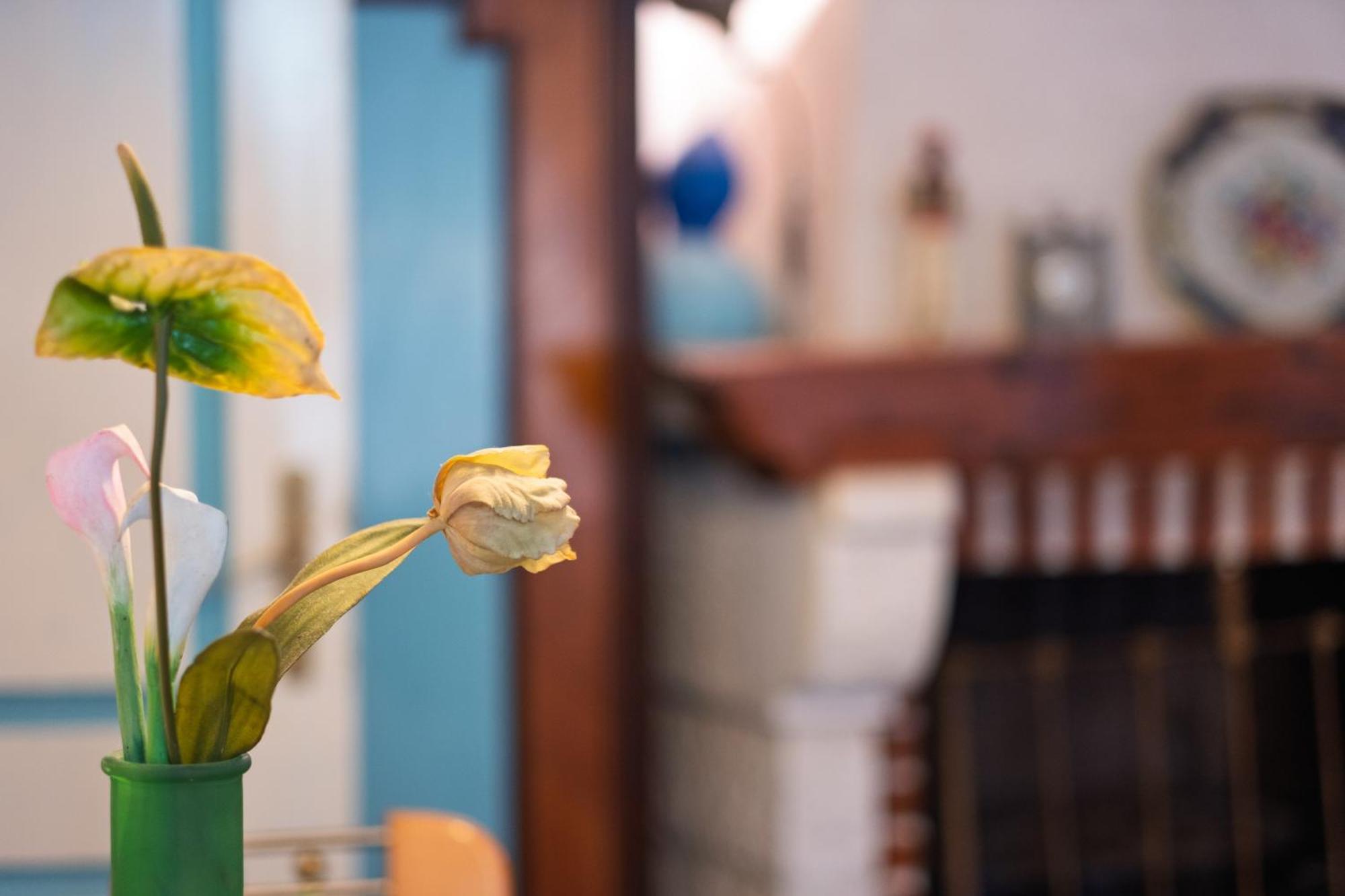 Bluemarine Rooms & Apartments Perast Ngoại thất bức ảnh